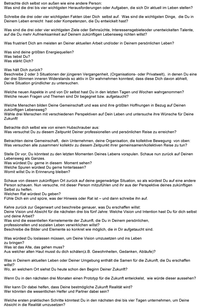 Theorie U Journaling - Fragen.jpeg